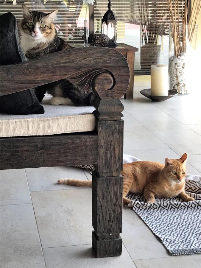 Villa Kelapa Langkawi Kuah Exteriér fotografie